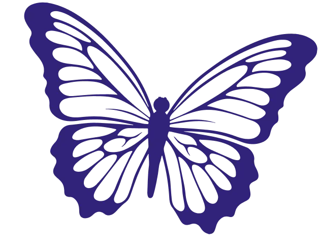 Butterfly accent for autism assessment support